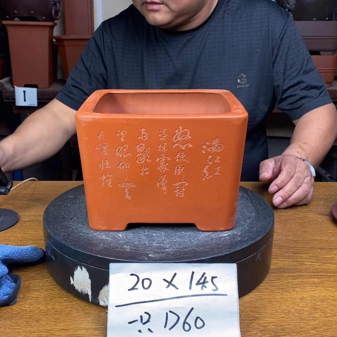 紫砂货号一只D60