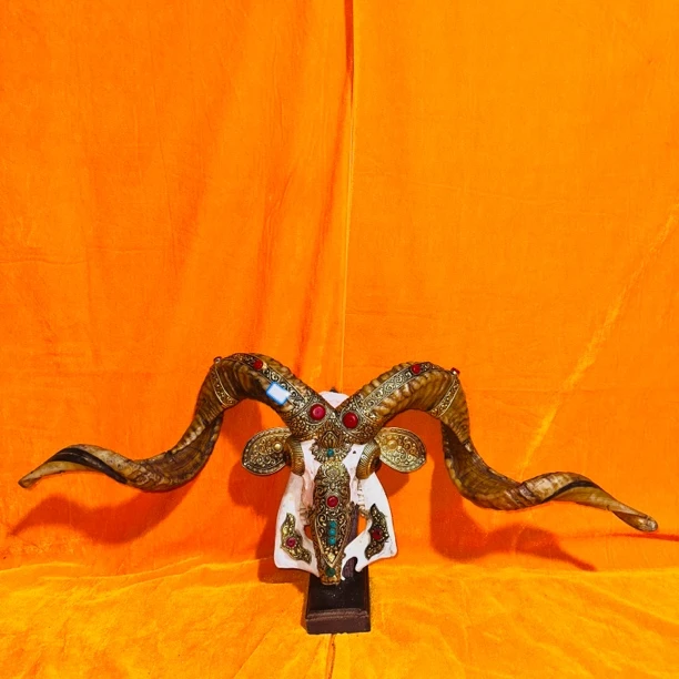 藏式包铜羊头骨工艺品 手工镶铜羊头标本 壁挂装饰 摆件店面装饰