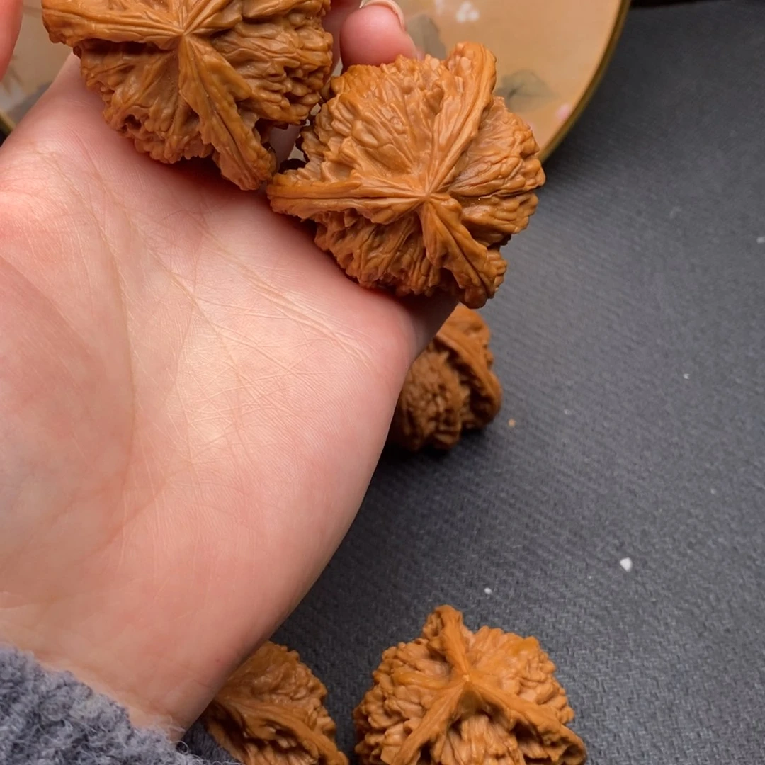 沁****纺白狮子1111111121