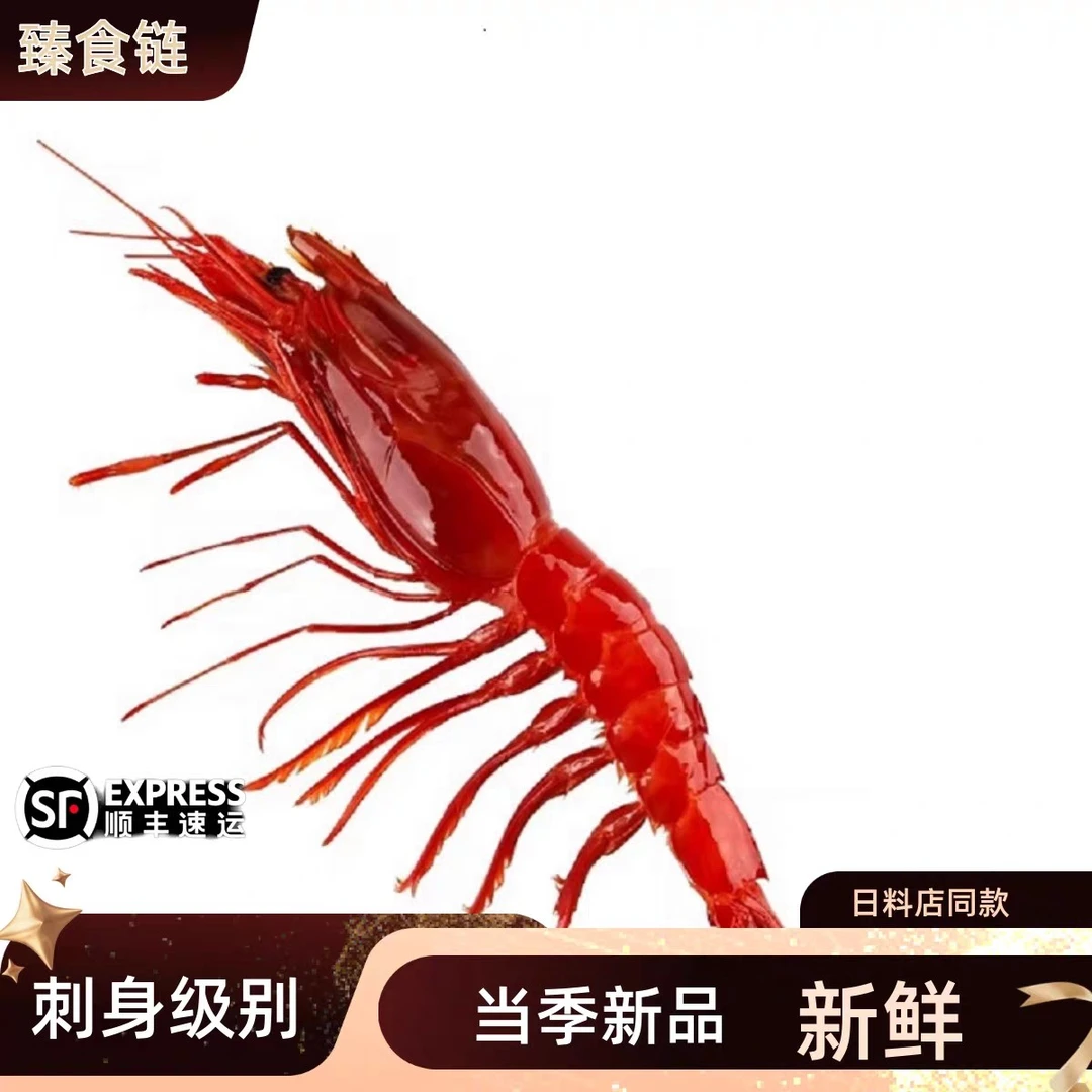 【产季优惠中】大红魔虾 刺身虾 生腌红虾  虾脑 海捕活冻 日式料理