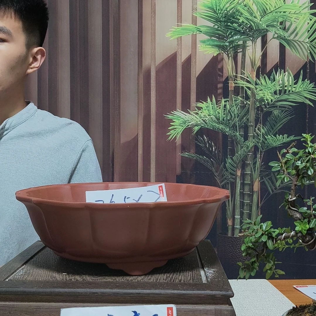 啦啦啦啦啦啦啦啦