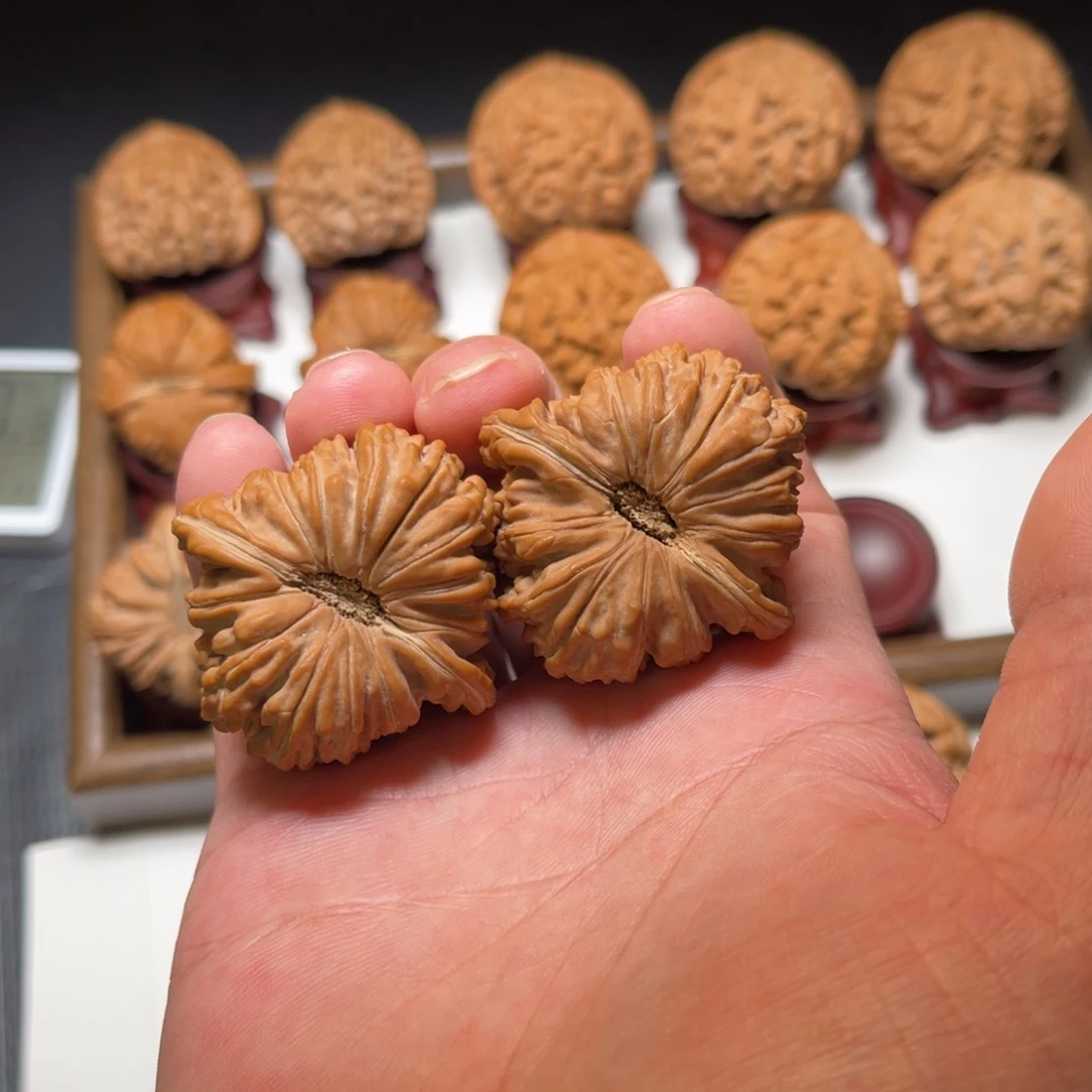 把件文玩核桃供桥楼核桃尺寸43