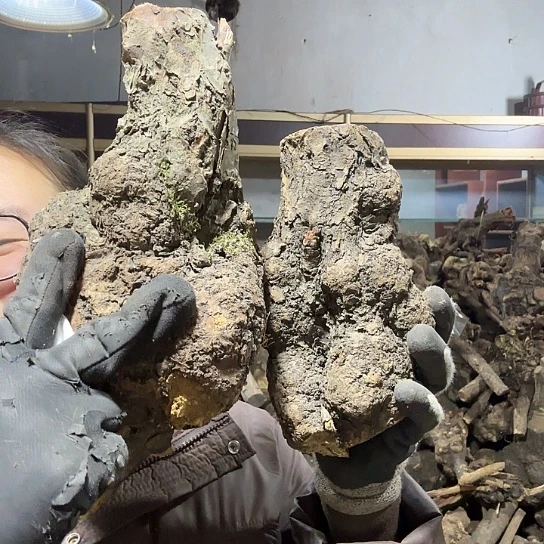 香榧木罗*坊火琉璃的毛料摆件