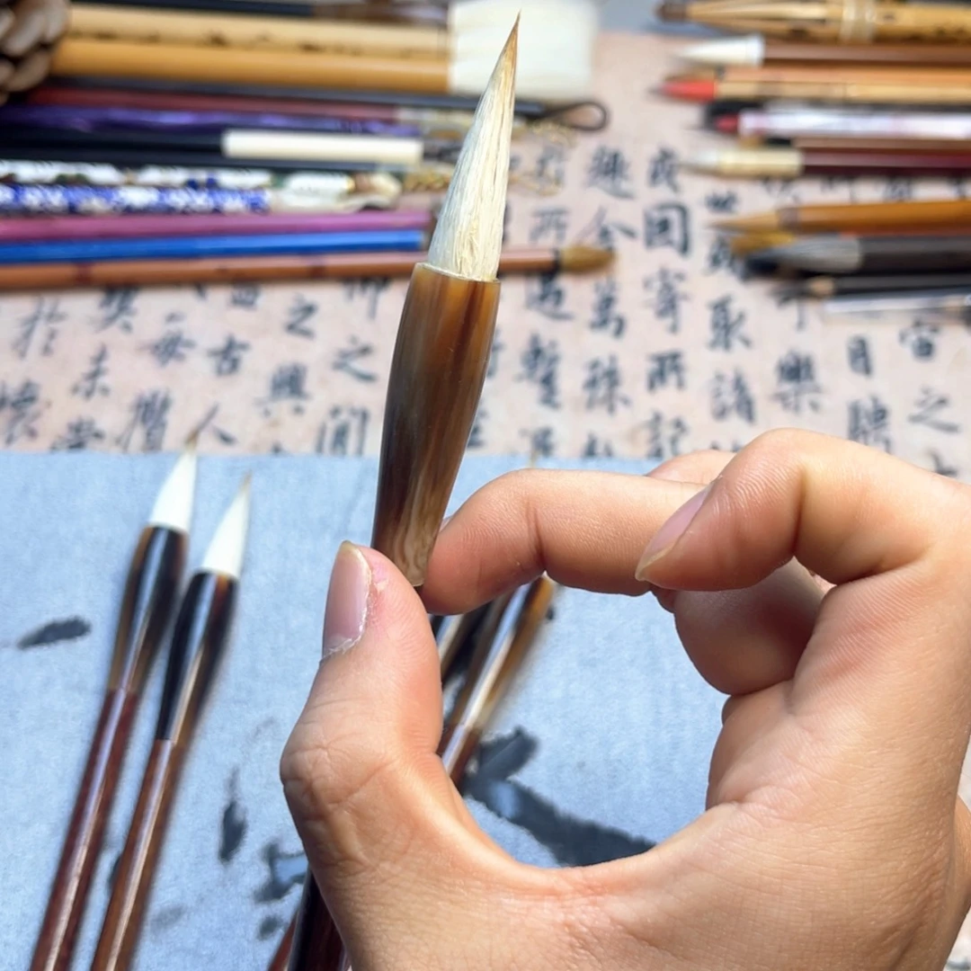 单支牛角中楷3.6直播福利
