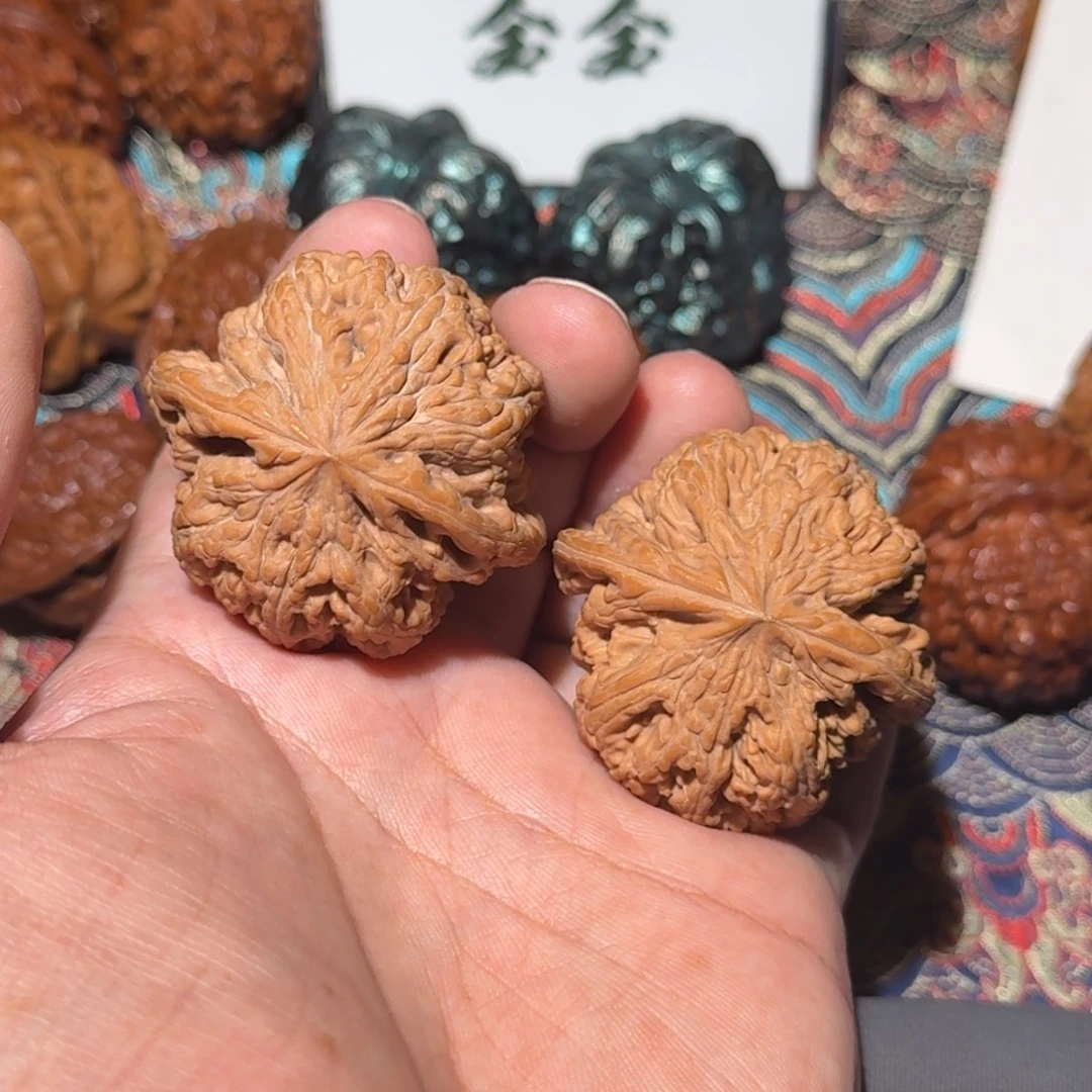 把件文玩核桃1063大粗筋，尺寸44 43 42