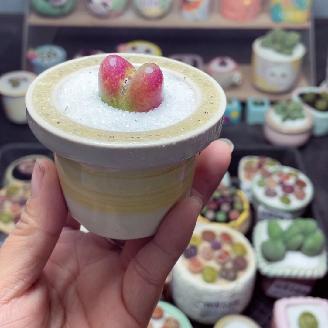 w8600 带盆土发货-零下地区拍保温箱