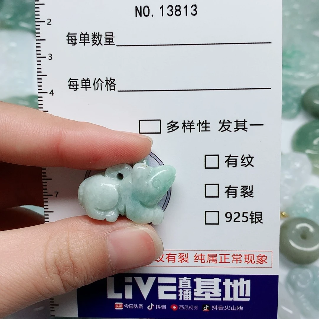 翡翠颈饰未镶嵌翡翠颈饰未镶嵌13813