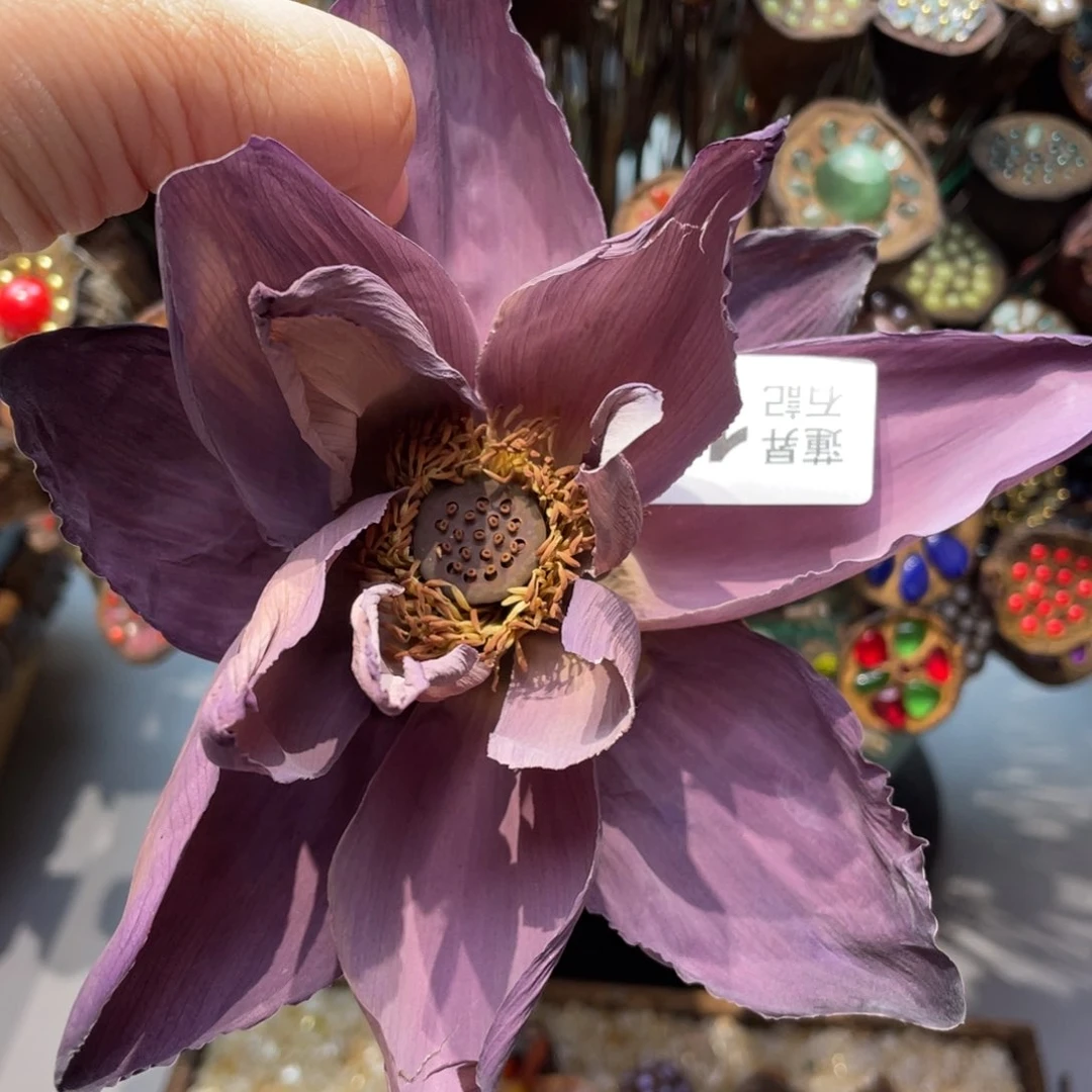 核桃木/黑胡桃（胡桃木）荷花