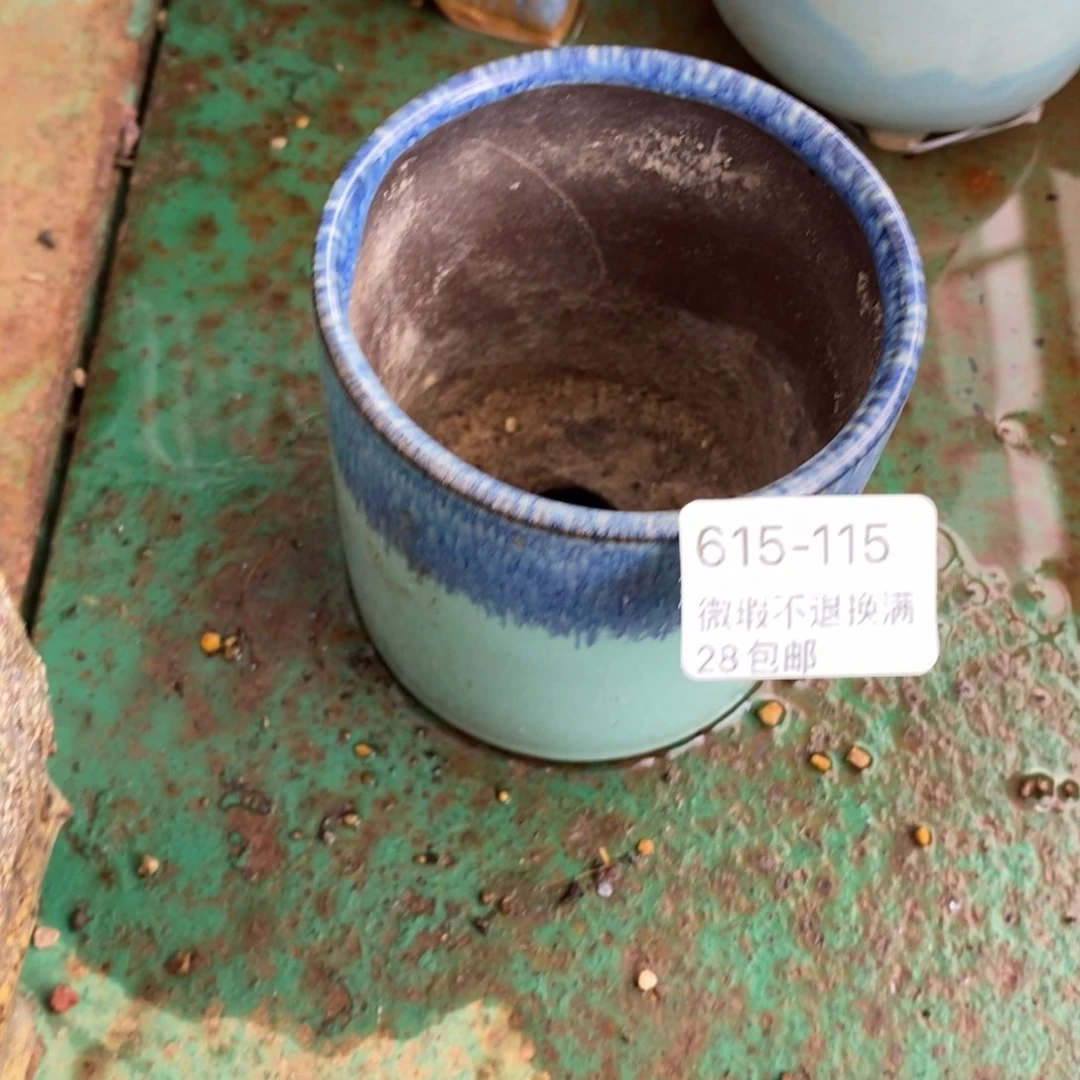 115号多肉盆口径5小可爱