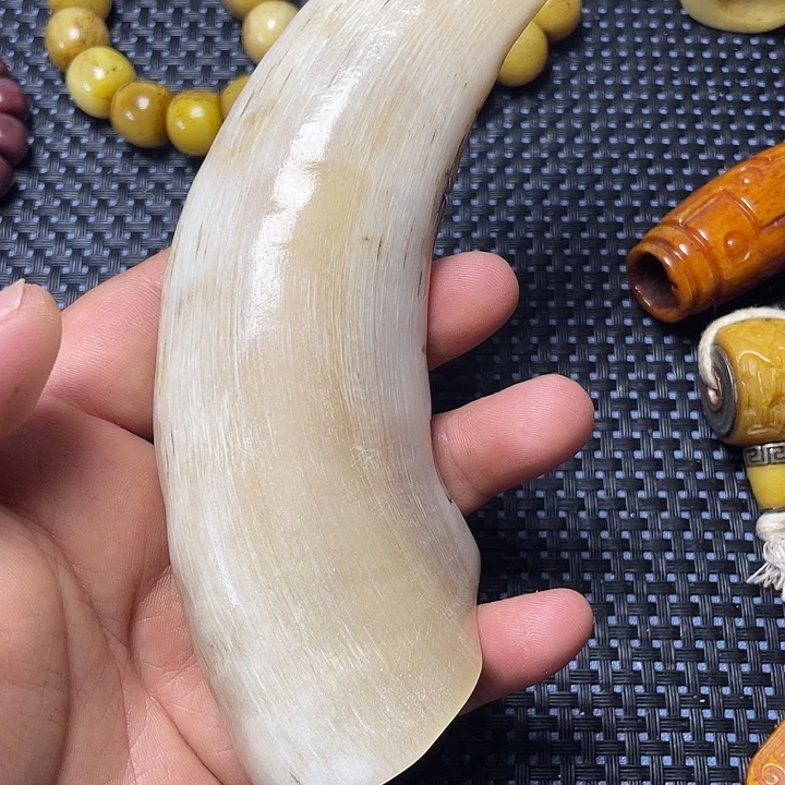 大果紫檀（缅甸花梨）