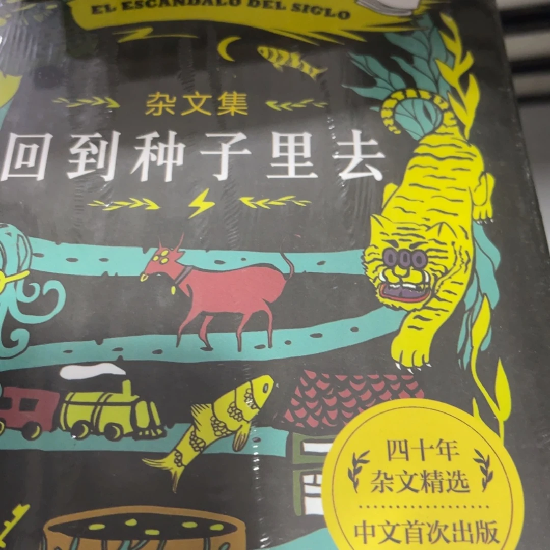 回到种子里去精装一个