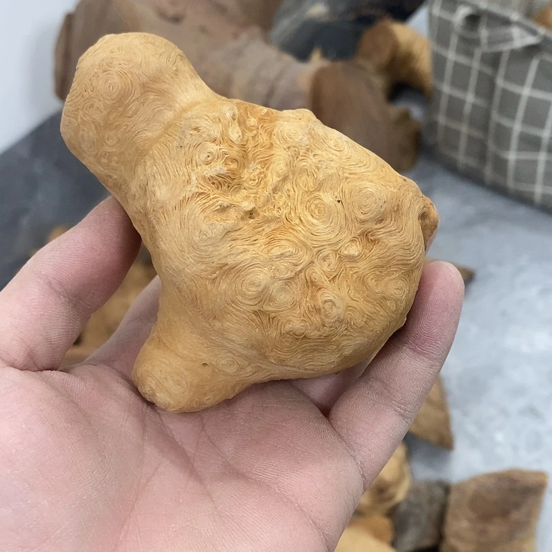 荔枝木老*荔枝木原料