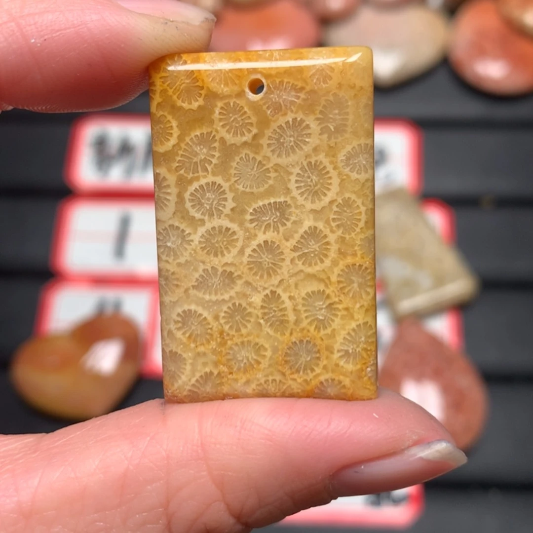 【闪购商品】硅化玉颈饰未镶嵌再**缘