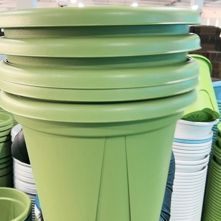 清仓青山口40高34果绿色5个带托