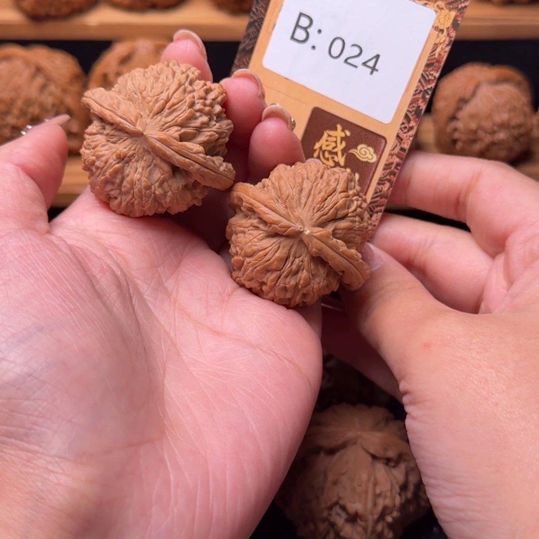 核桃b024白狮子4.0