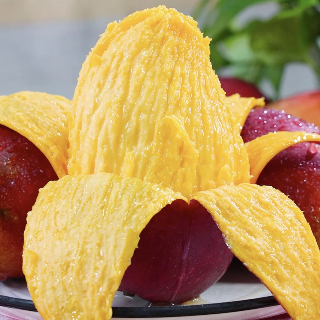 [李老师专属]正宗攀枝花芒果彩虹芒果香甜多汁新世纪现摘现发