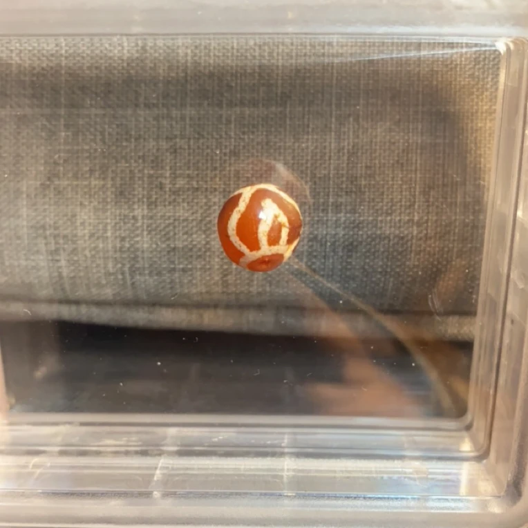 藏地密码藏式珠子A129