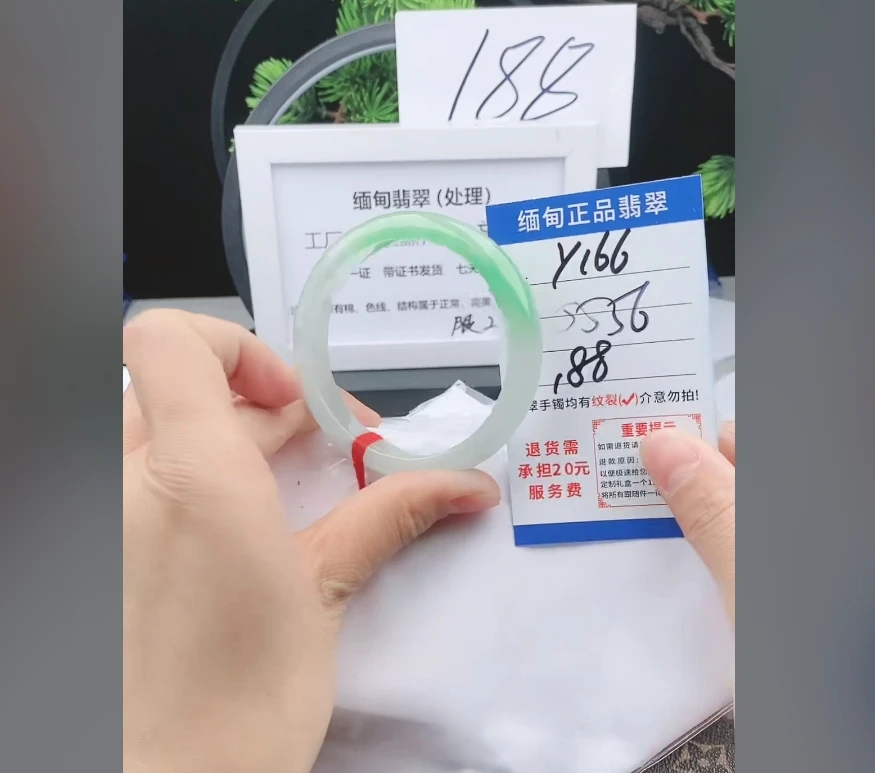 Y166缅甸翡翠处理手镯【一物一证】实物以直播间为准带证书发货