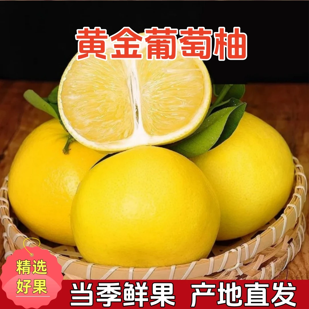 【送榨汁器】福建黄金葡萄柚新鲜应季当季柚子现摘现发