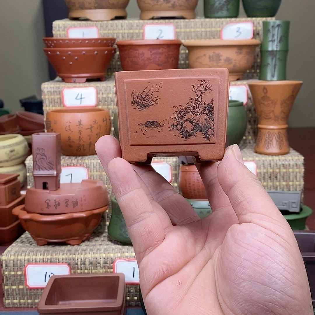 紫砂花盆我在等他