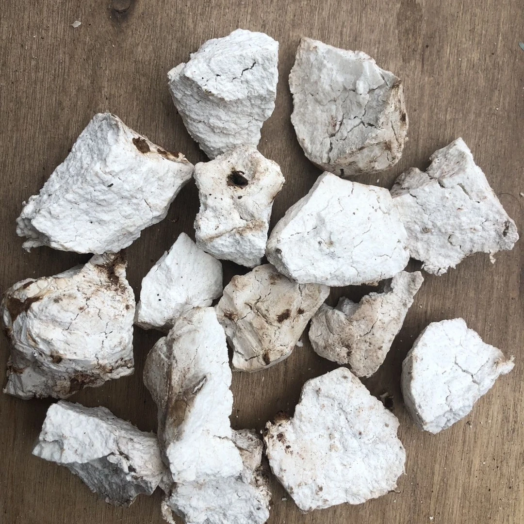 【江怀助农】云南茯苓大块茯苓坨茯苓坨
