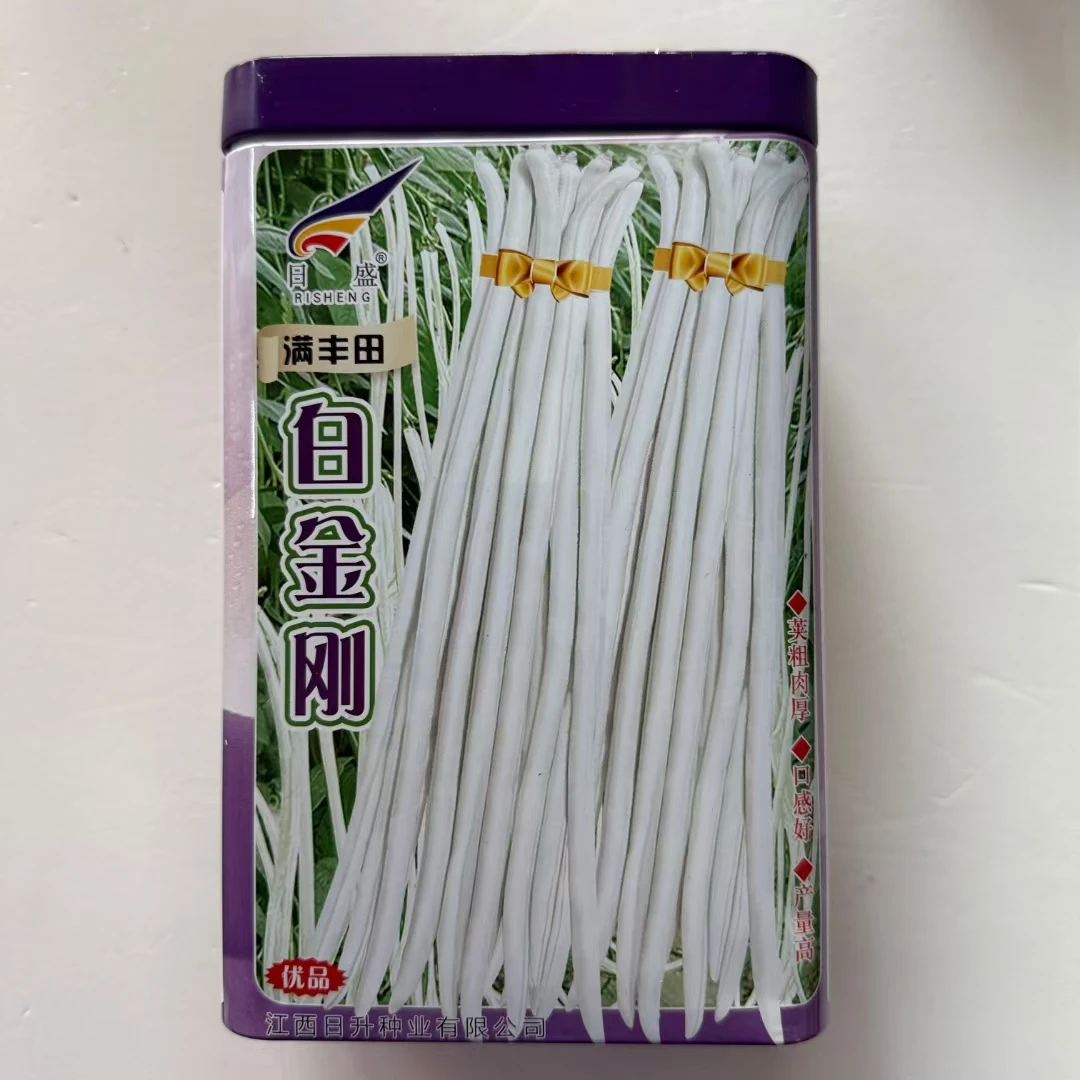 白金刚白豆角种子早 中熟耐高温荚粗肉厚长豆角种子