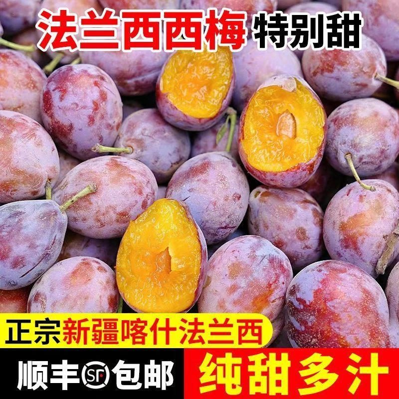 【顺丰纯甜】正宗新疆喀什法兰西西梅李子新鲜水果现摘小西梅整箱