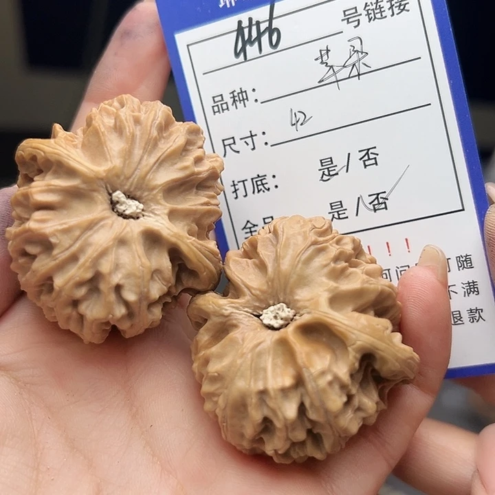 文玩核桃吊坠核桃树446