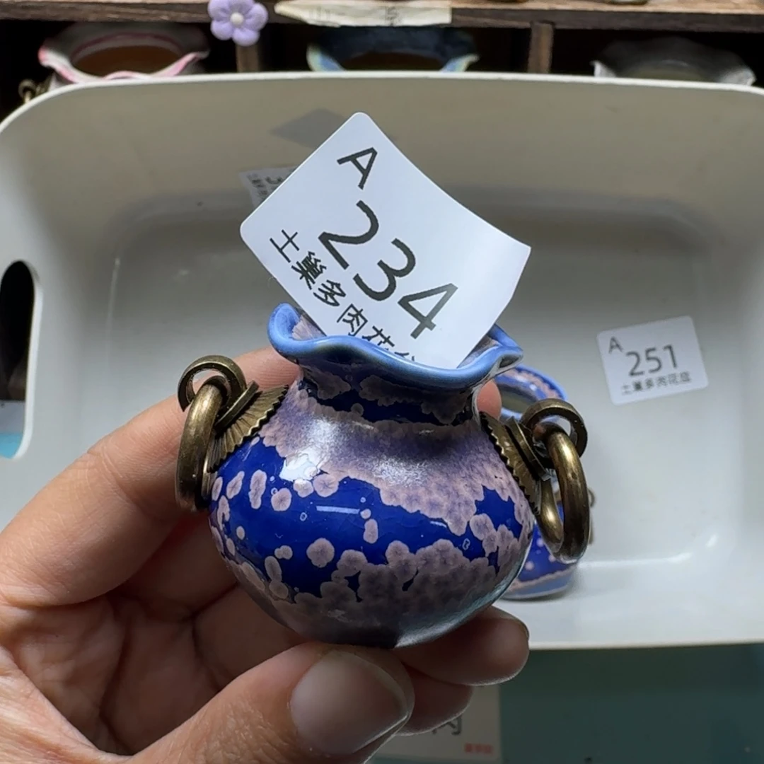 毒***舌陶瓷艺术设计与制作