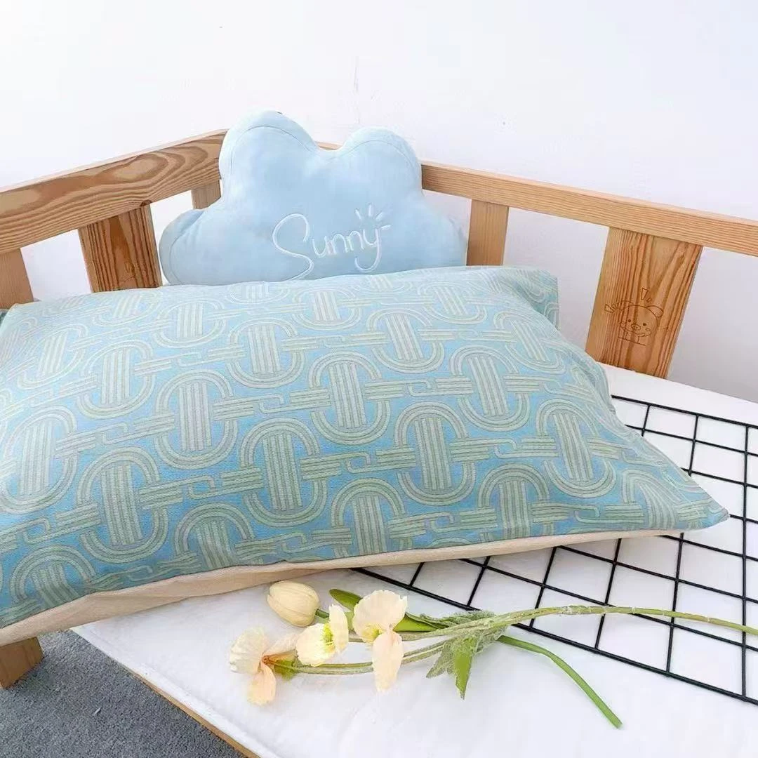 清货枕套一对2只加厚双面磨毛细纱厚实枕套48×74（AA/AB）