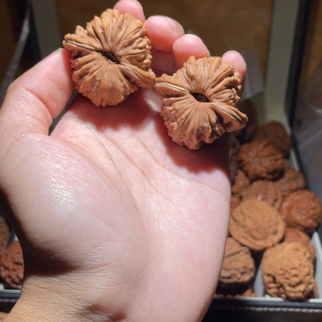 43尺寸蓟县楼狮子头