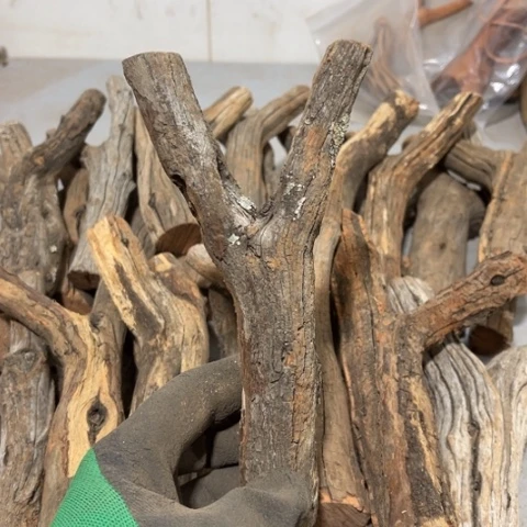 大果紫檀（缅甸花梨）⭐️*