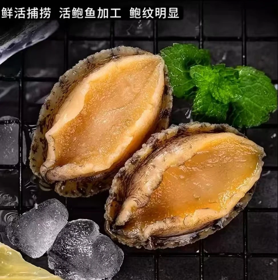 特大号7厘米左右鲍鱼现剥鲍鱼肉 10头鲍鱼