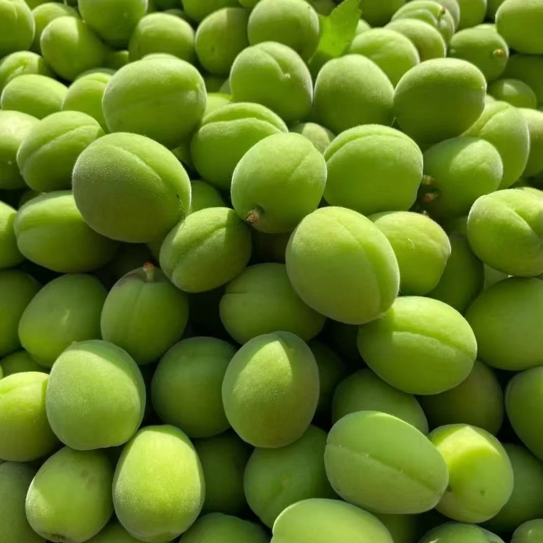 《新疆顺丰空运》新鲜软核小青杏送辣椒面，微苦，怕酸慎拍