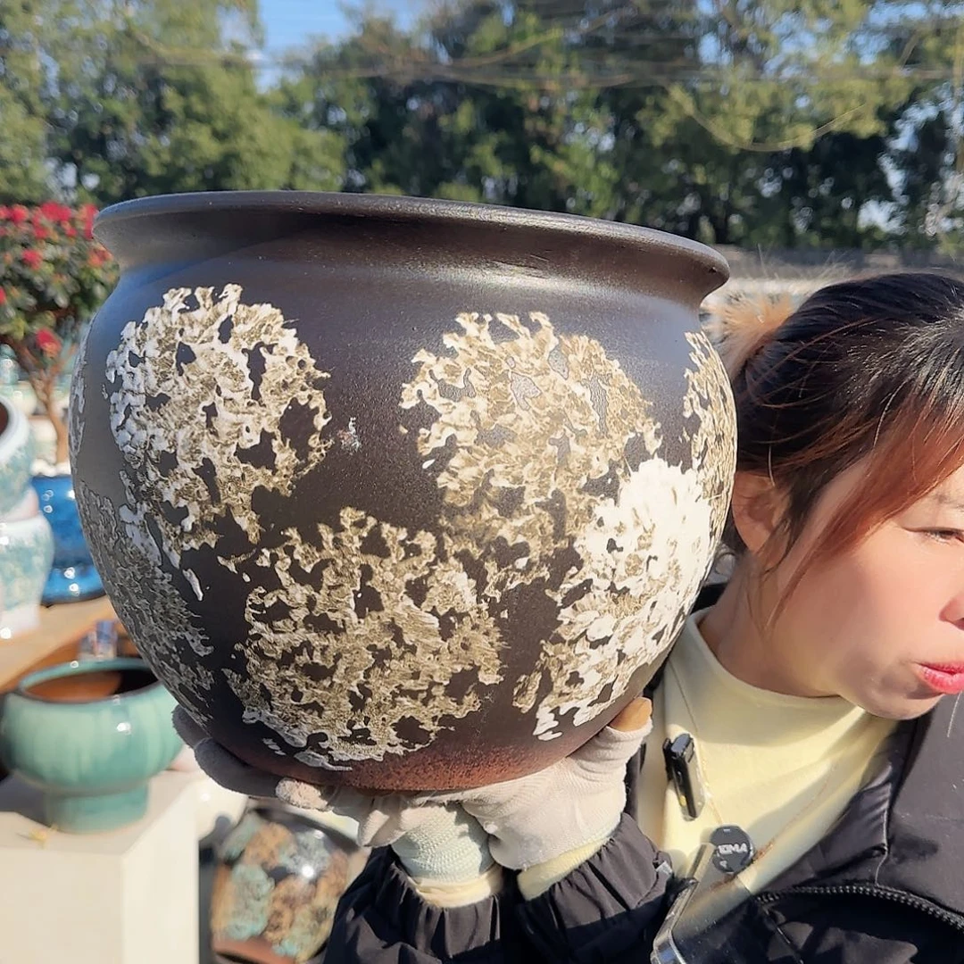 王嫂花盆直播1121-362高25口30