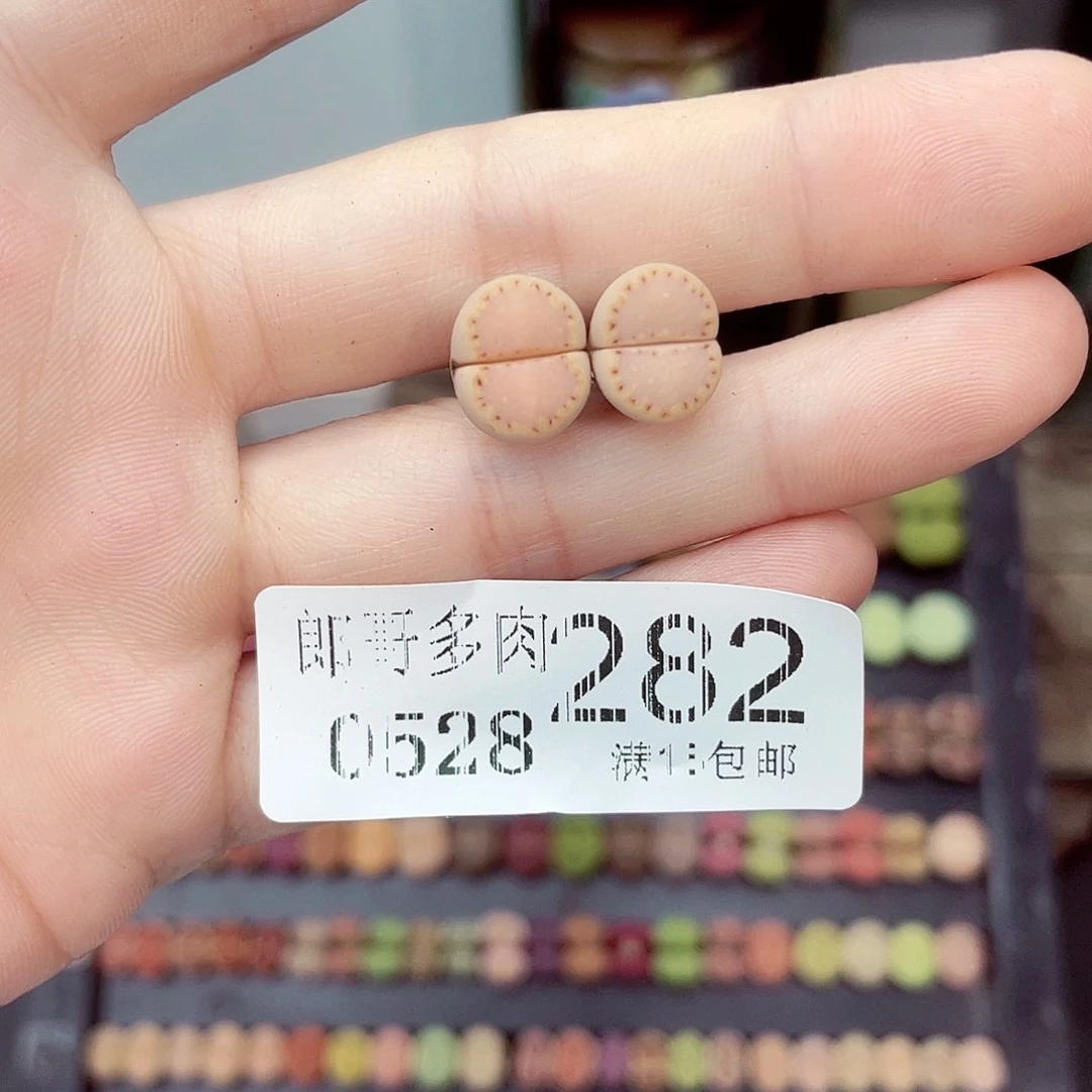 ?*满18包邮0528-282