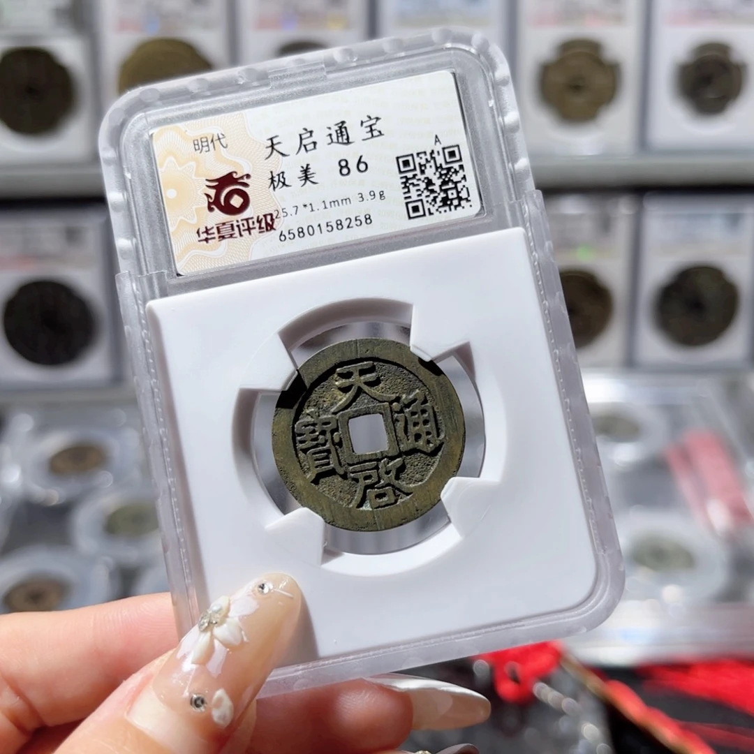铜天启通宝。8258。215。Ｌ