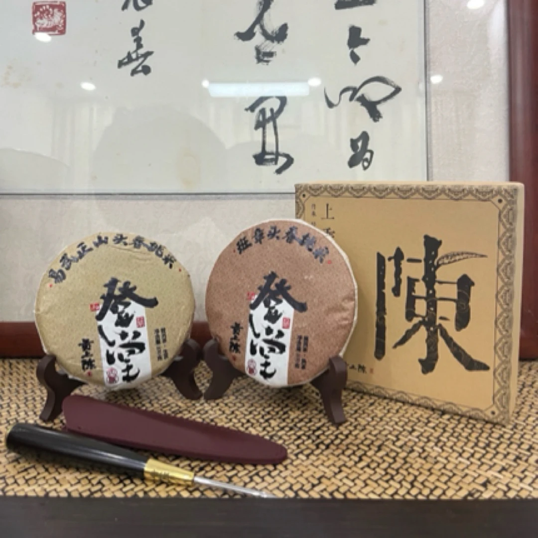 【登堂】2024年易武(生)/2021年班章(熟)各一饼+茶针一支-头春大树