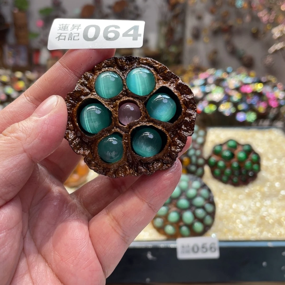 核桃木/黑胡桃（胡桃木）064