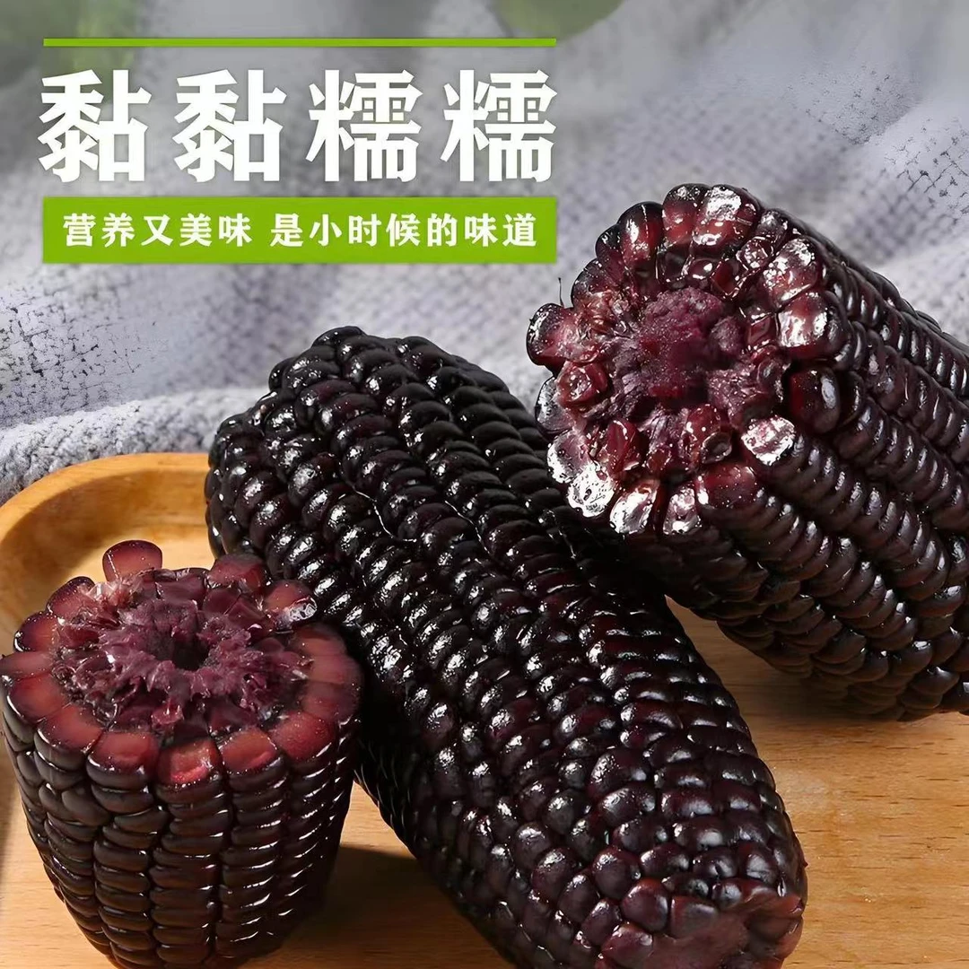 小黑糯东北黑甜糯一箱12支5斤