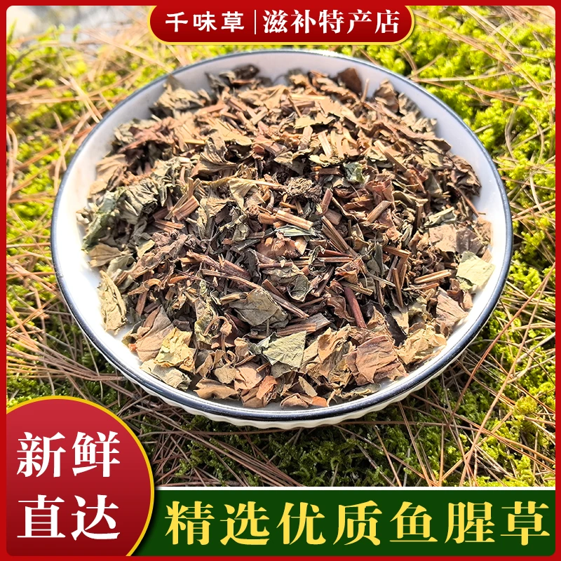 鱼腥草茶 鱼腥草干泡水凉茶 鱼腥草折耳根代茶饮