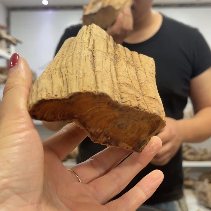 t***g柏木（崖柏）太行崖柏陈化香料