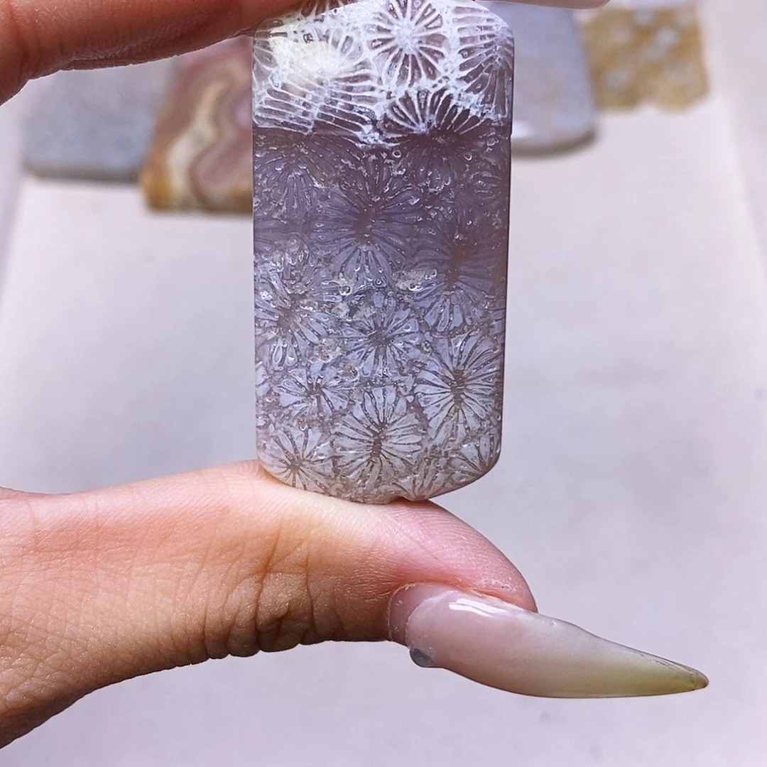 查罗石合金颈饰T***y