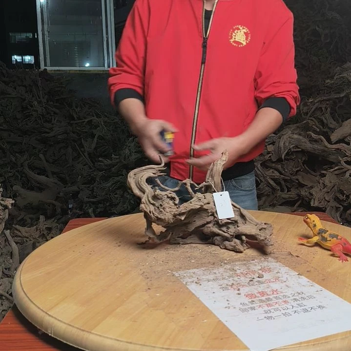 木鱼缸造景杜鹃根123