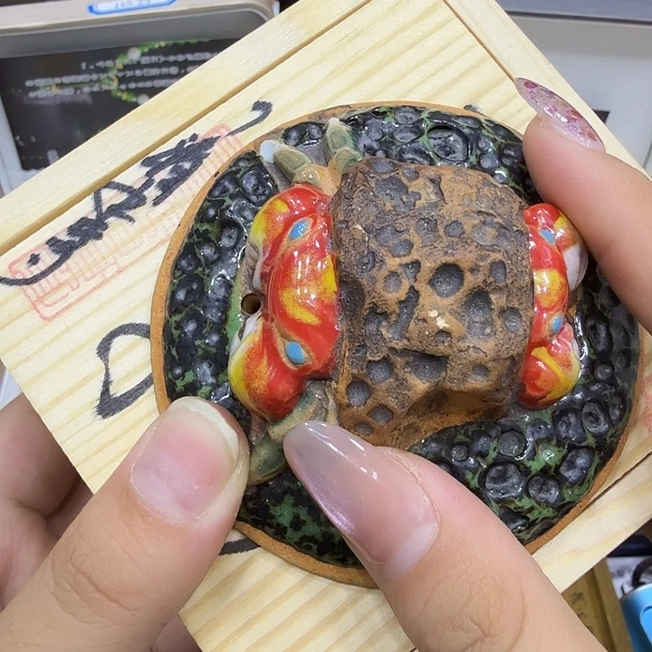 茶宠哈哈哈哈哈哈哈哈哈