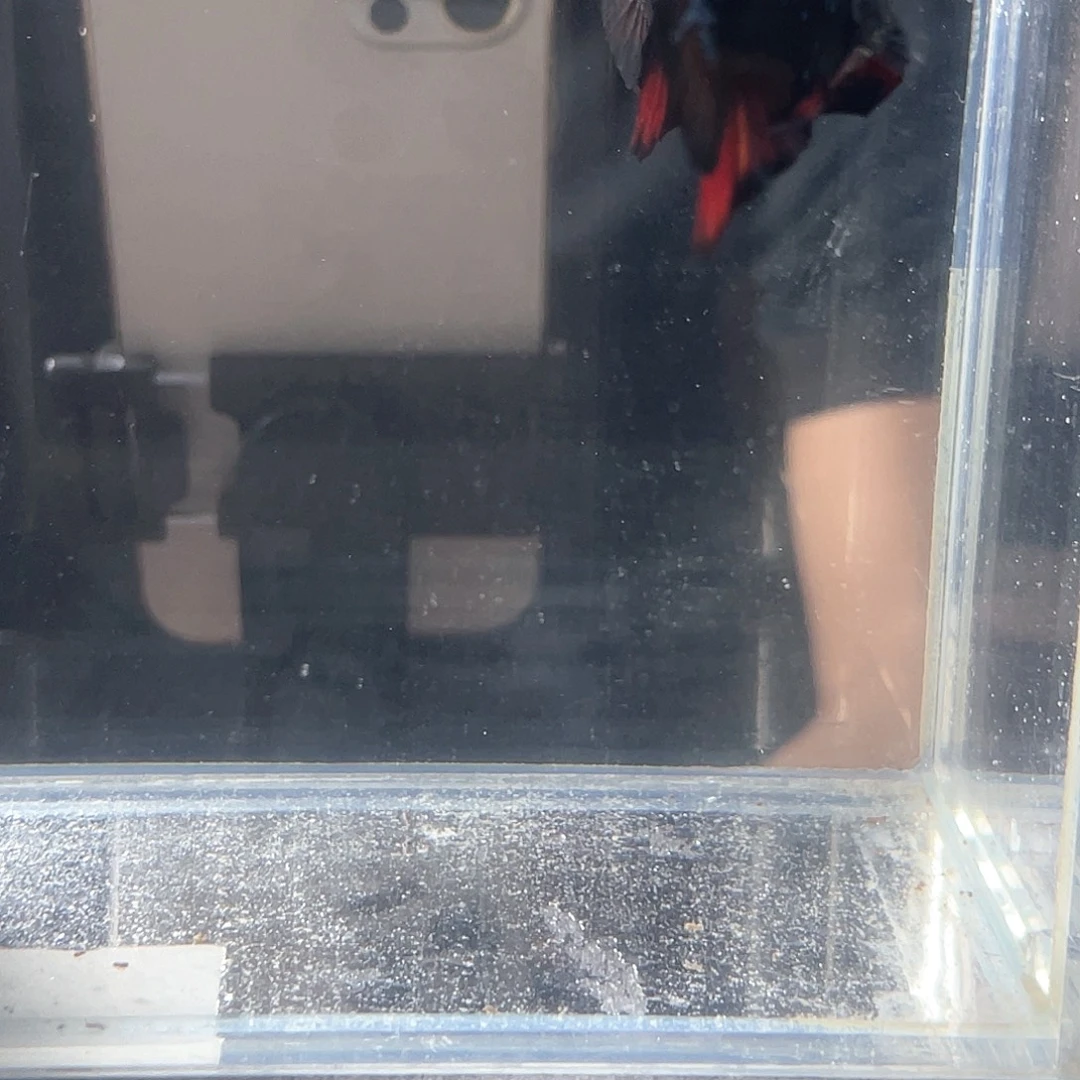 斗鱼不包邮首单补10运4