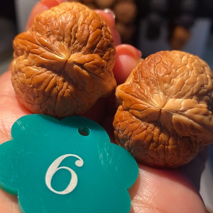 6号链接粗筋彩西瓜35尺寸