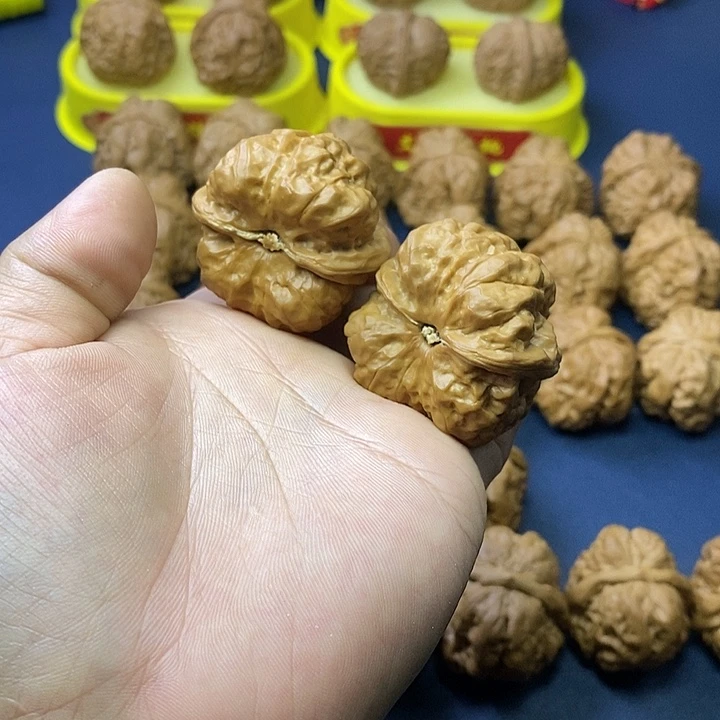 文玩核桃把件蛤蟆