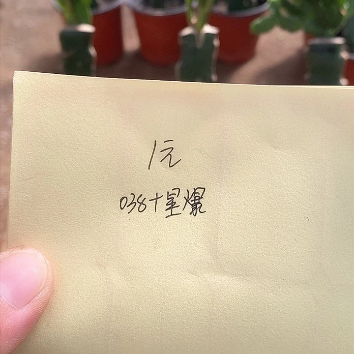 无花朵红**客038加星爆