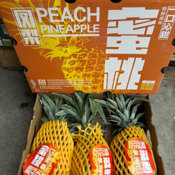 【云南】蜜桃凤梨（新鲜当季）原箱约5斤